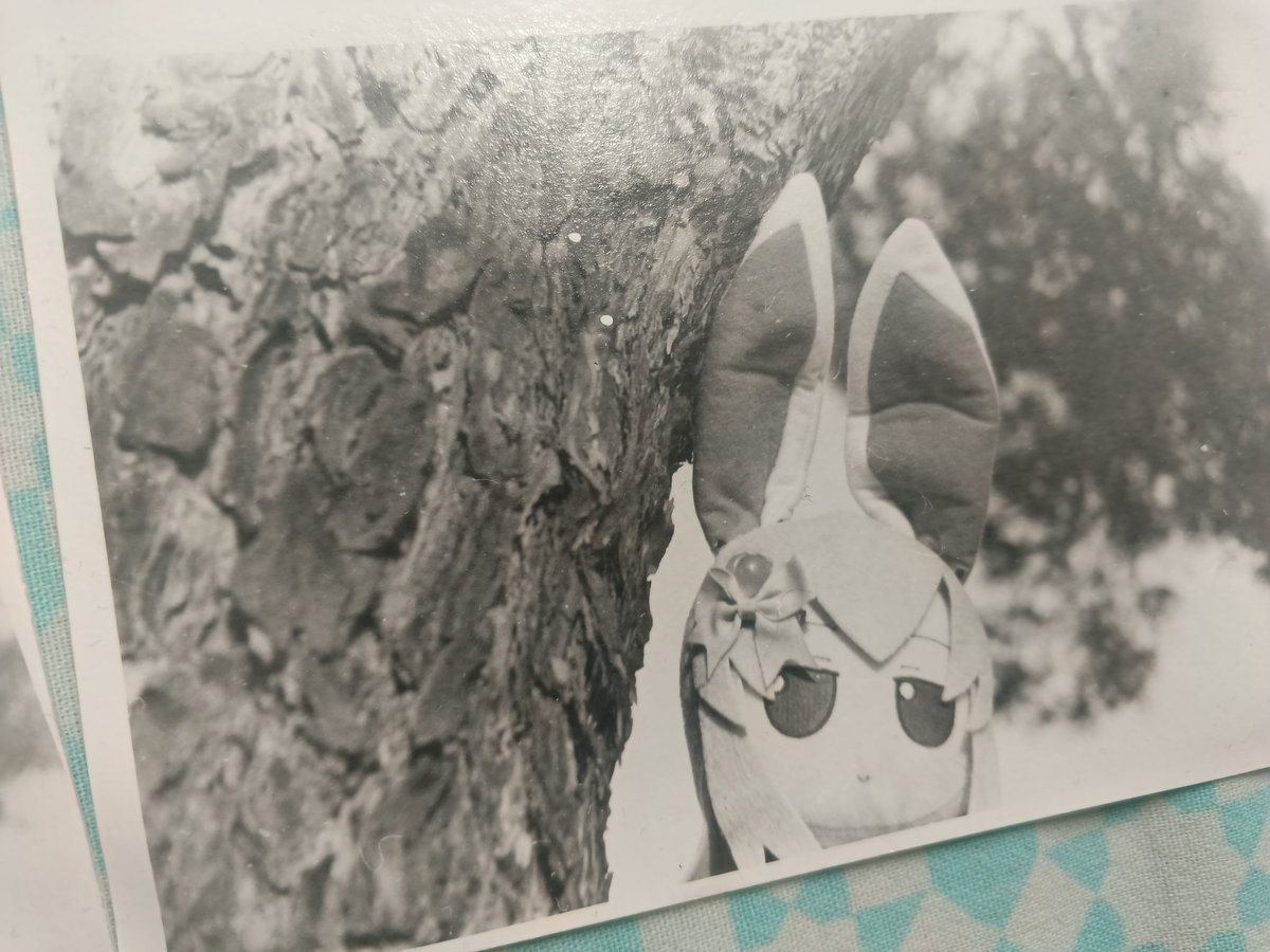 IvanFumograph tweet media