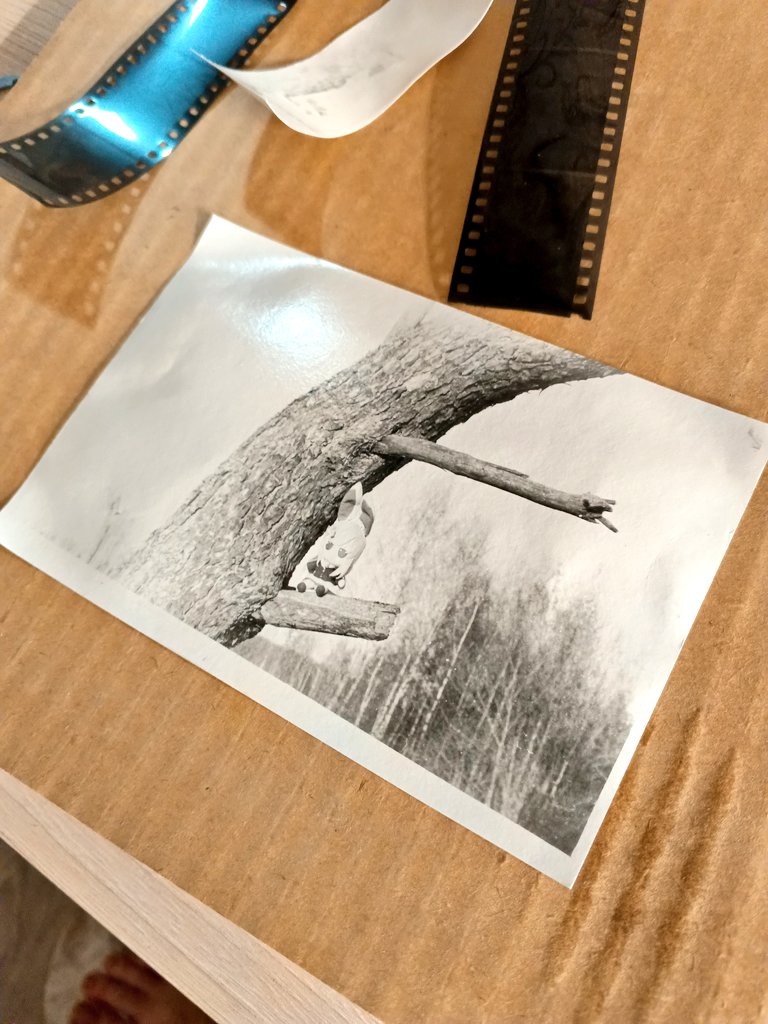 IvanFumograph tweet media