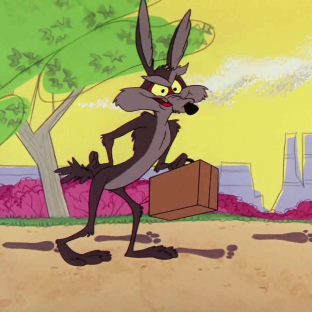 Cody | Wile E stan tweet media