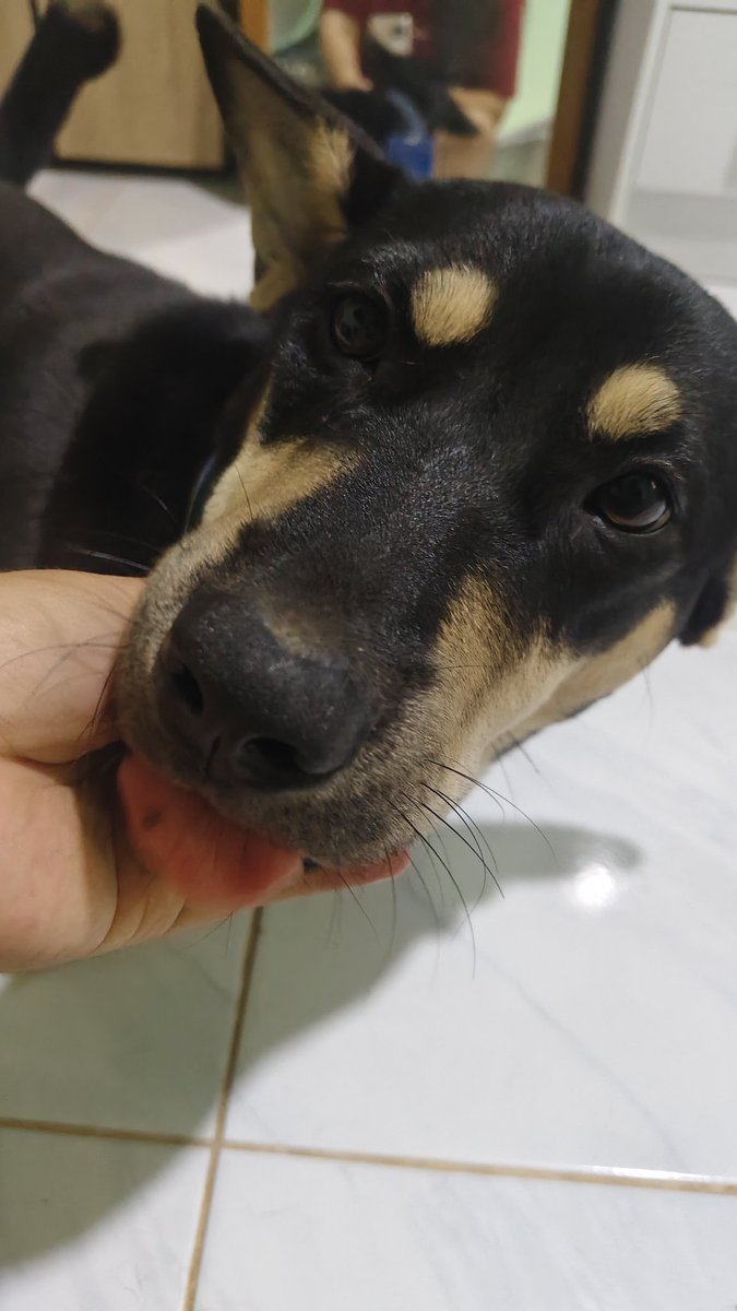 เกาพุงให้หน่อยยคั้บบ