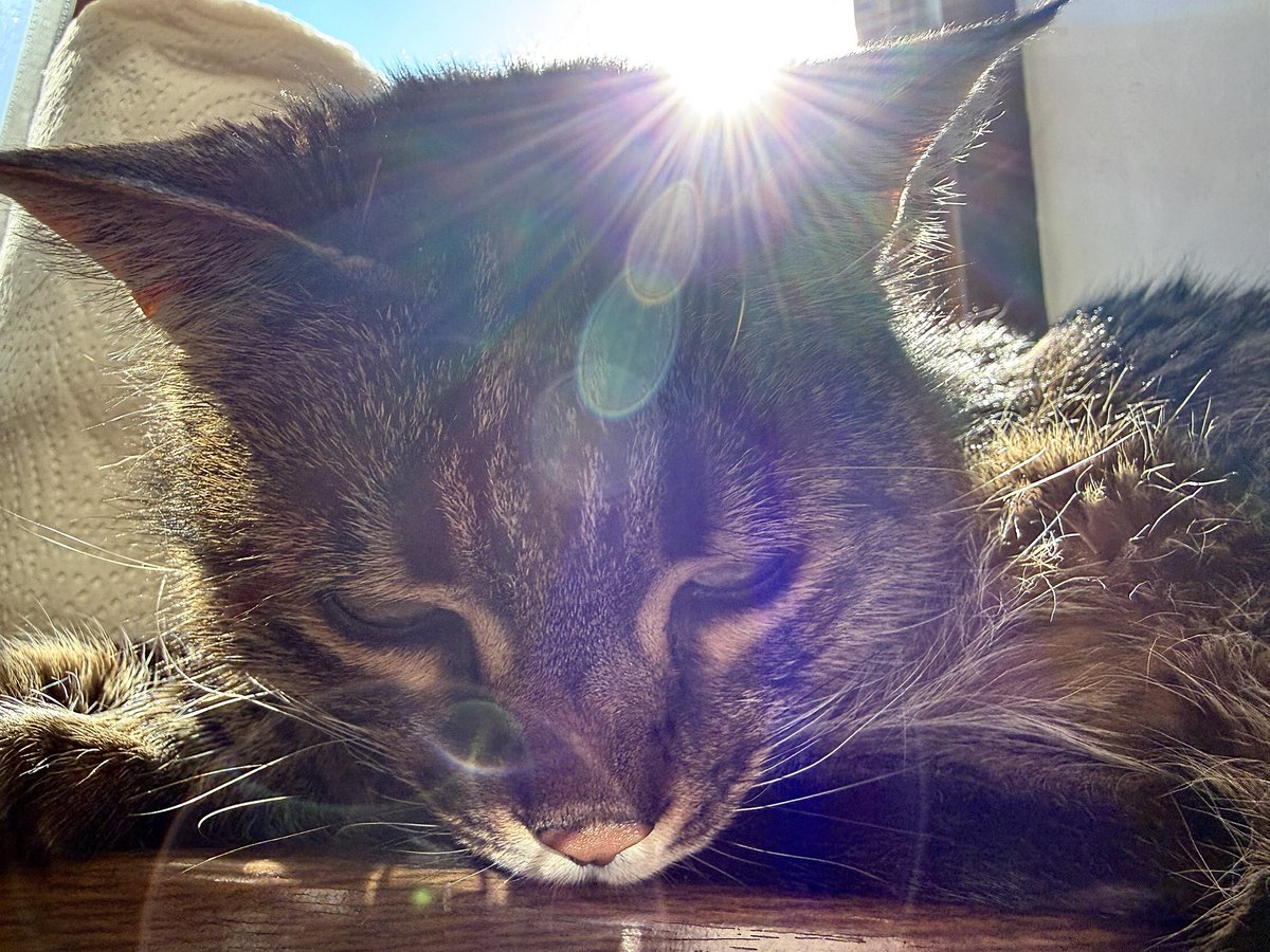 Стас Юрченко tweet media