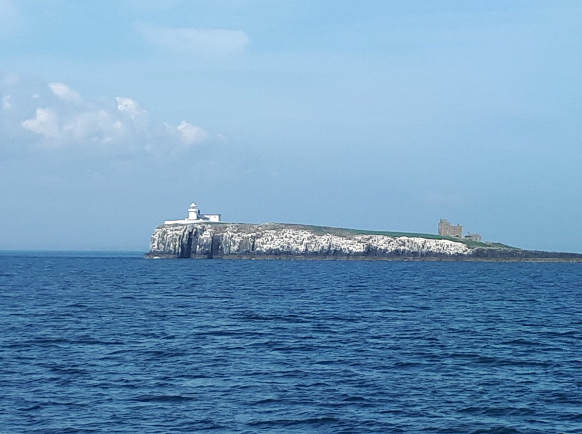 North Ages tweet media