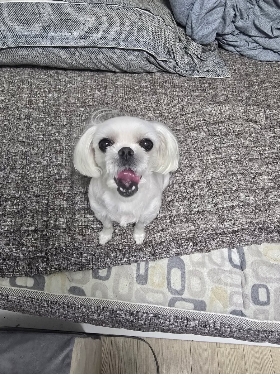 평범한이름/3부코(양일) tweet media