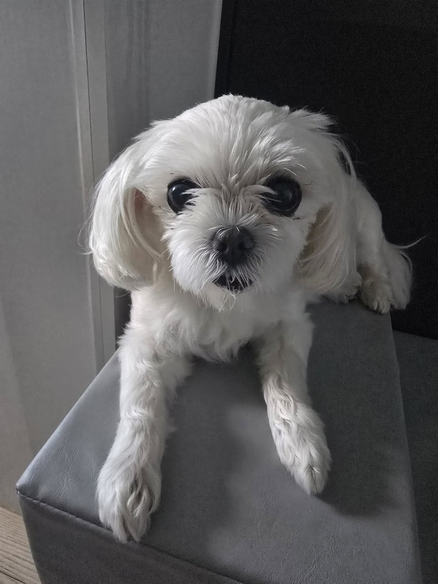 평범한이름/3부코(양일) tweet media