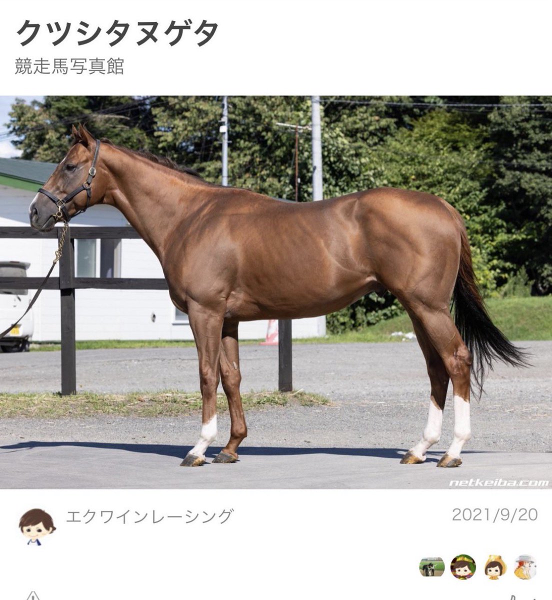 ネットで話題のツイ図鑑 tweet media