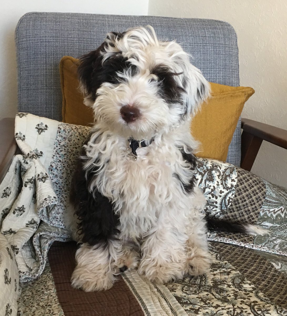 BeMoreBob tweet media