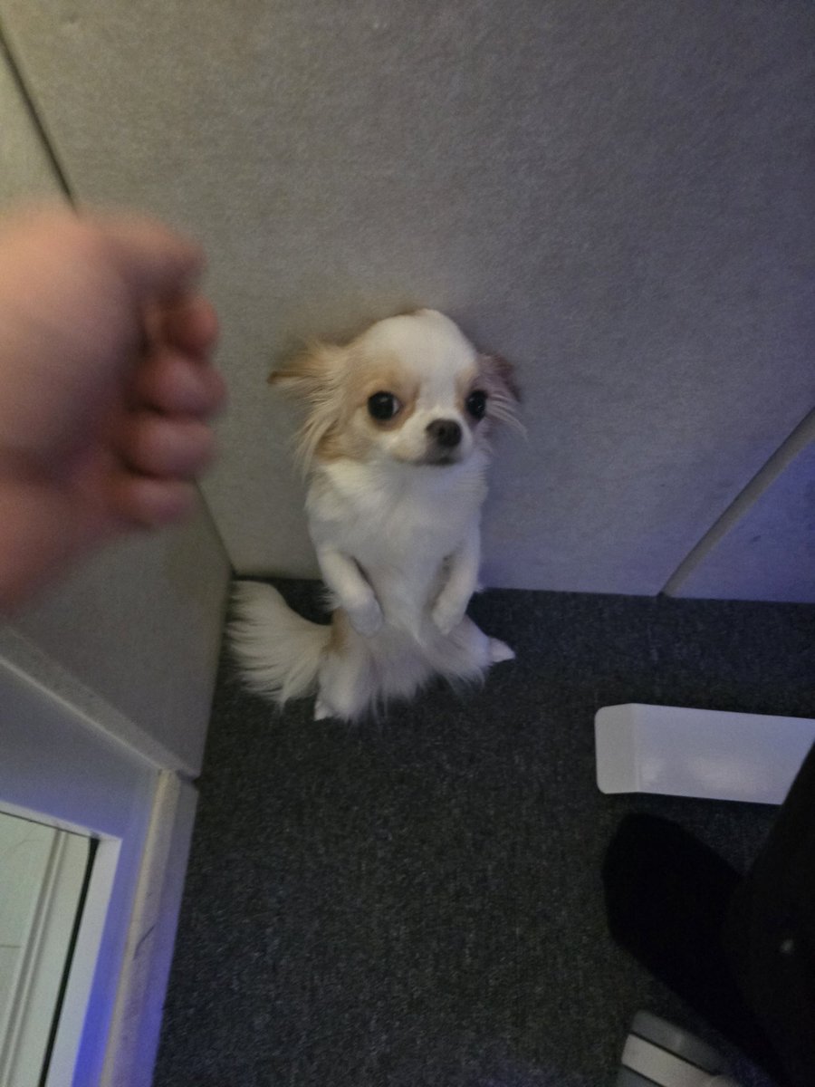 성우 임채빈🥳 tweet media