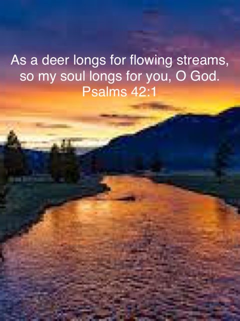 David Prindle tweet media