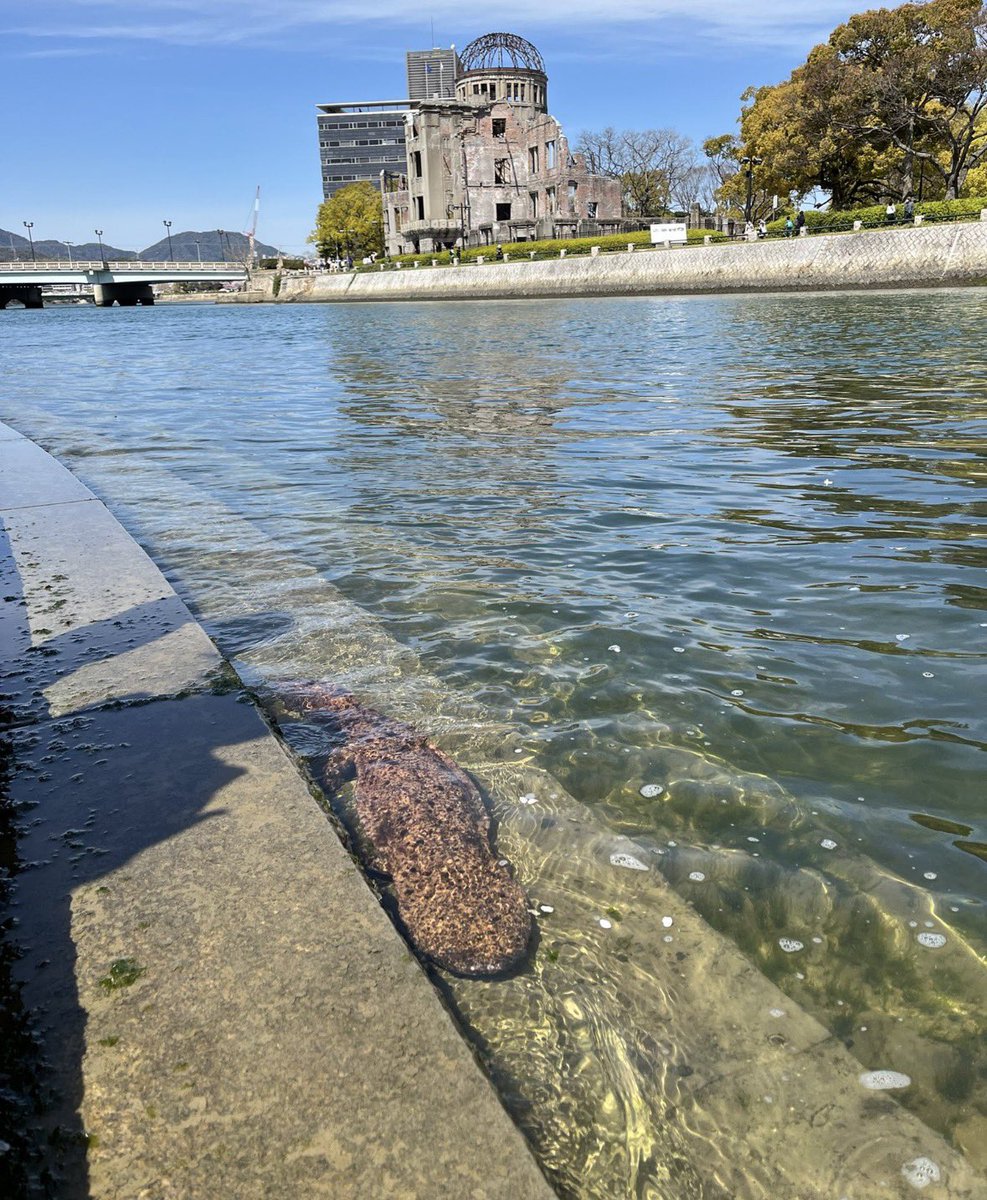 ネットで話題のツイ図鑑 tweet media