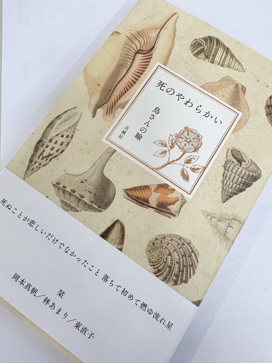 びわしゅ =Bivash Torino= tweet media