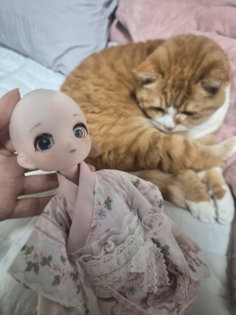 사랑해 뽀뽀또또 tweet media