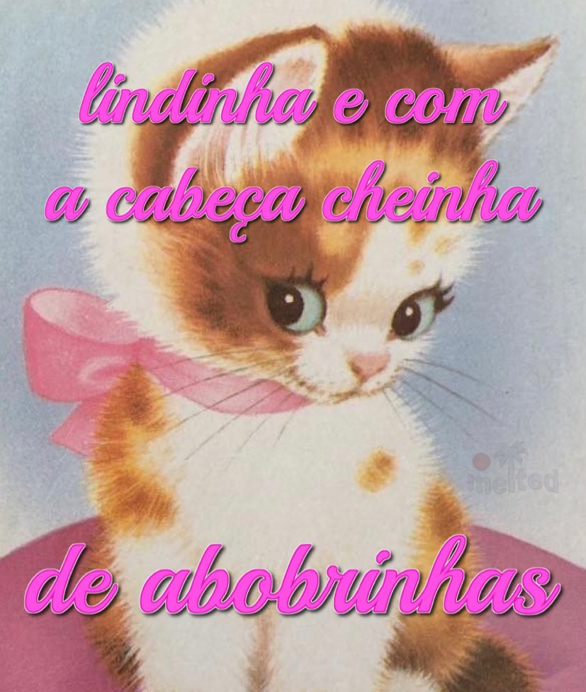 ruivinha tweet media