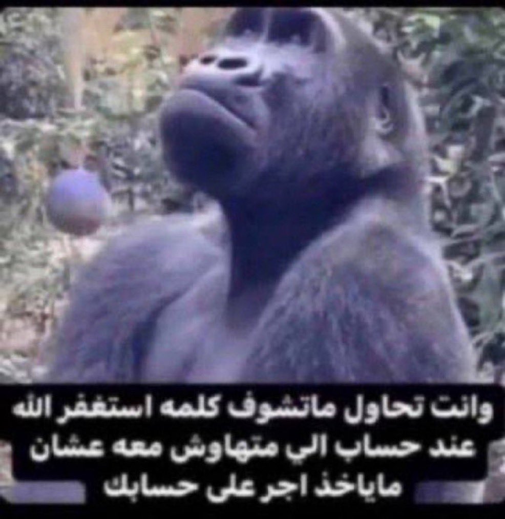 Alkatheeri tweet media