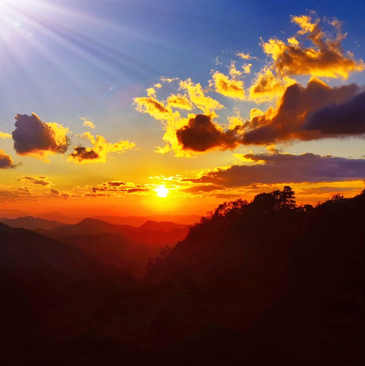 Jeff Cook tweet media