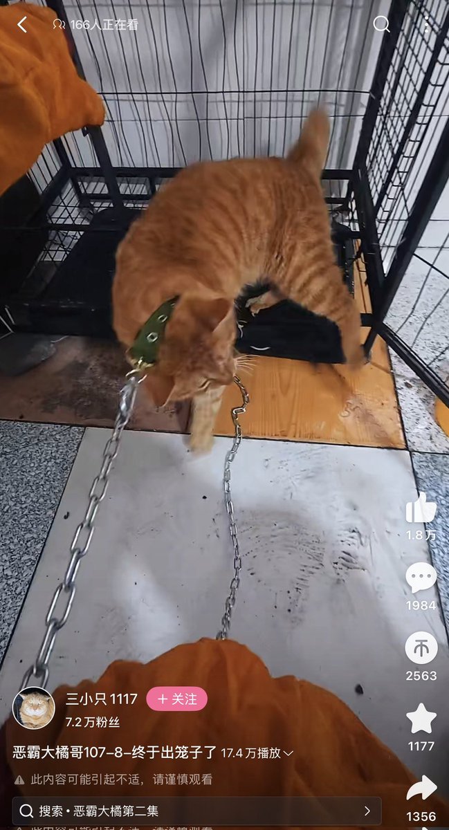 Nadia Mohammad tweet media