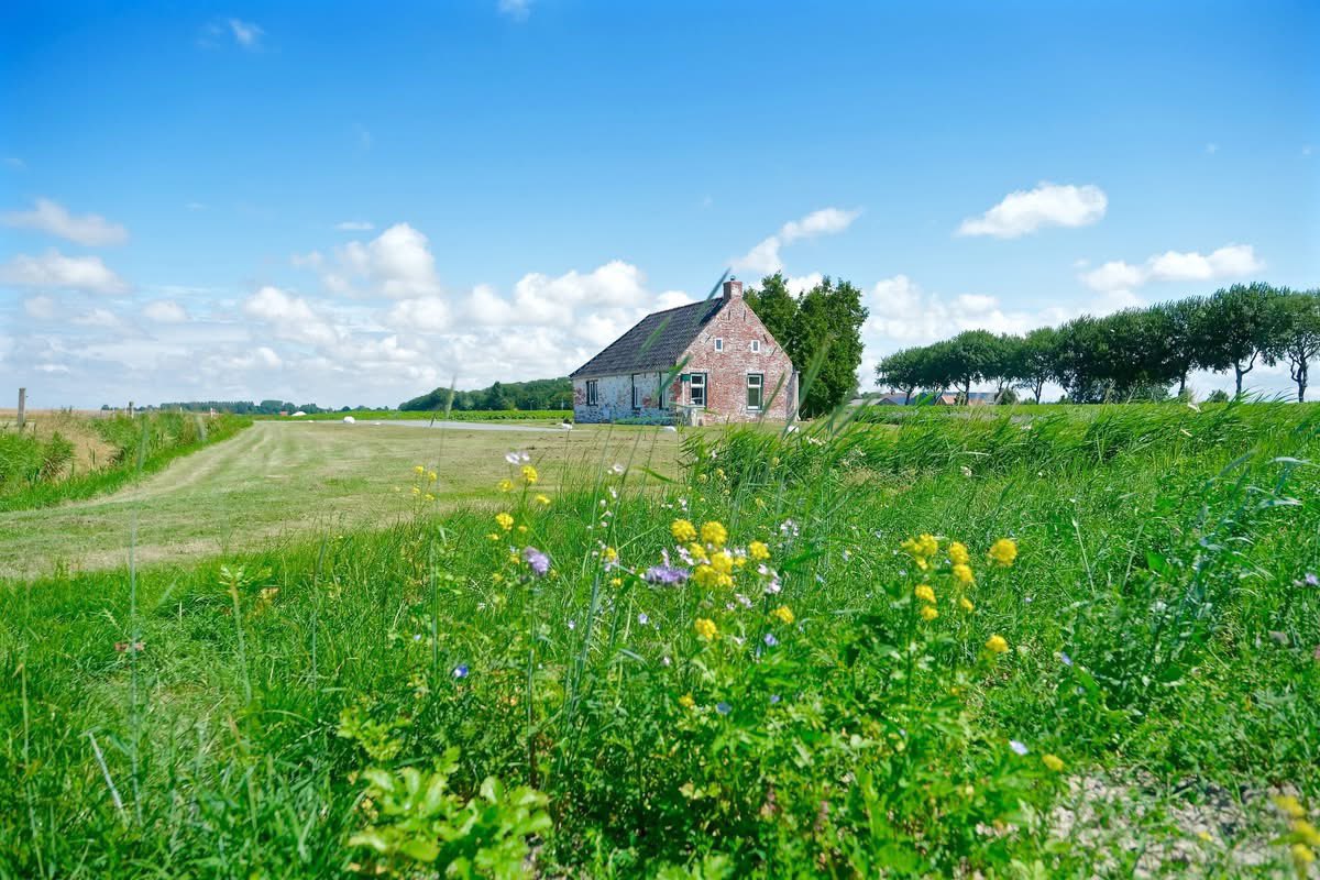 Mooigrunnen® tweet media