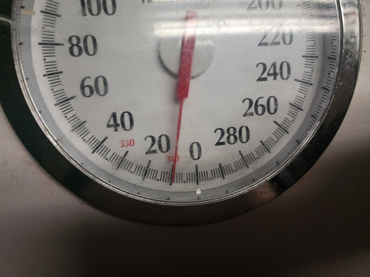 Gummy (they/them) 🖤🤍💚🤍🖤 tweet media