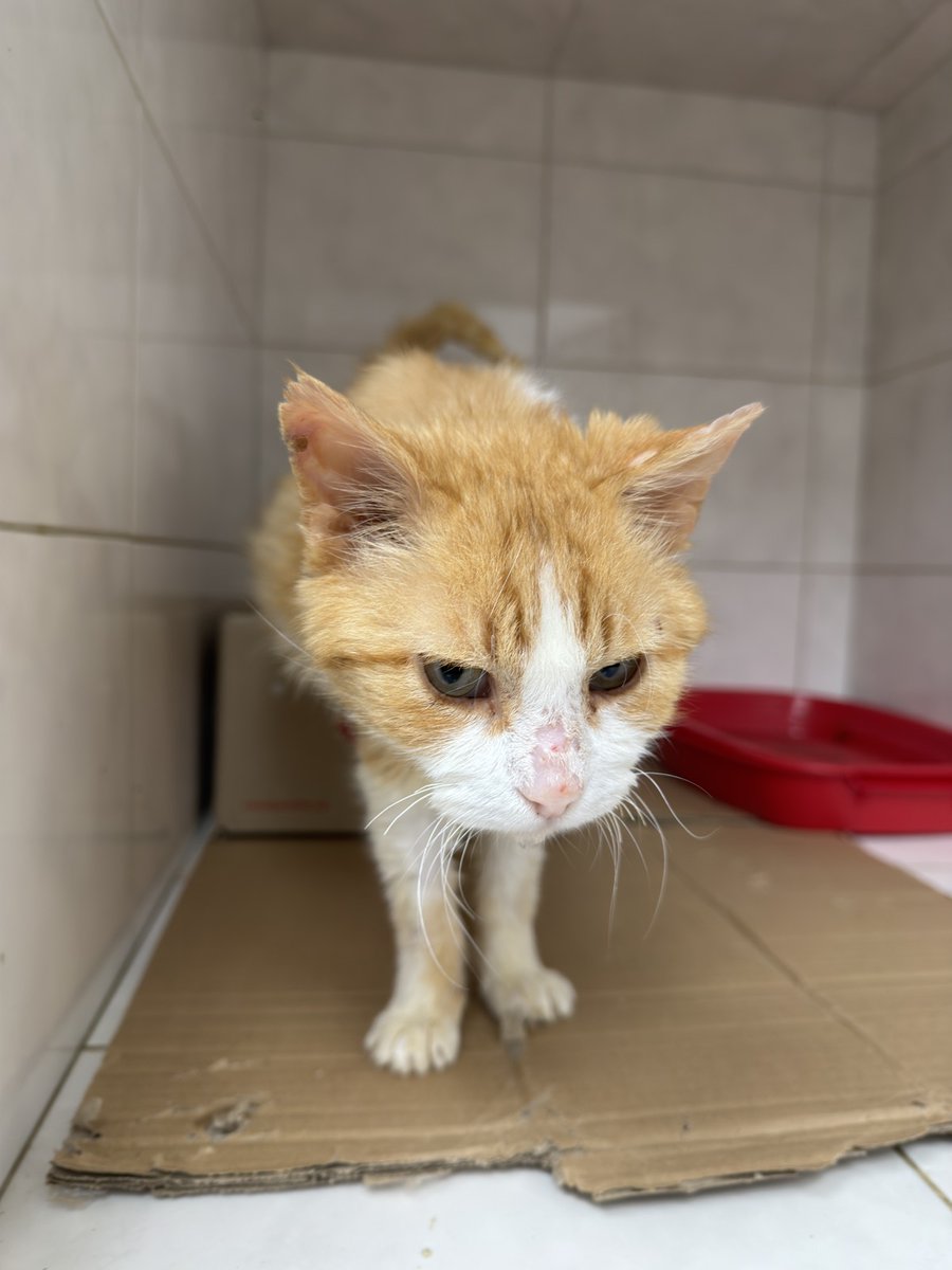 𝓦𝓲𝓷𝔂𝓪 tweet media