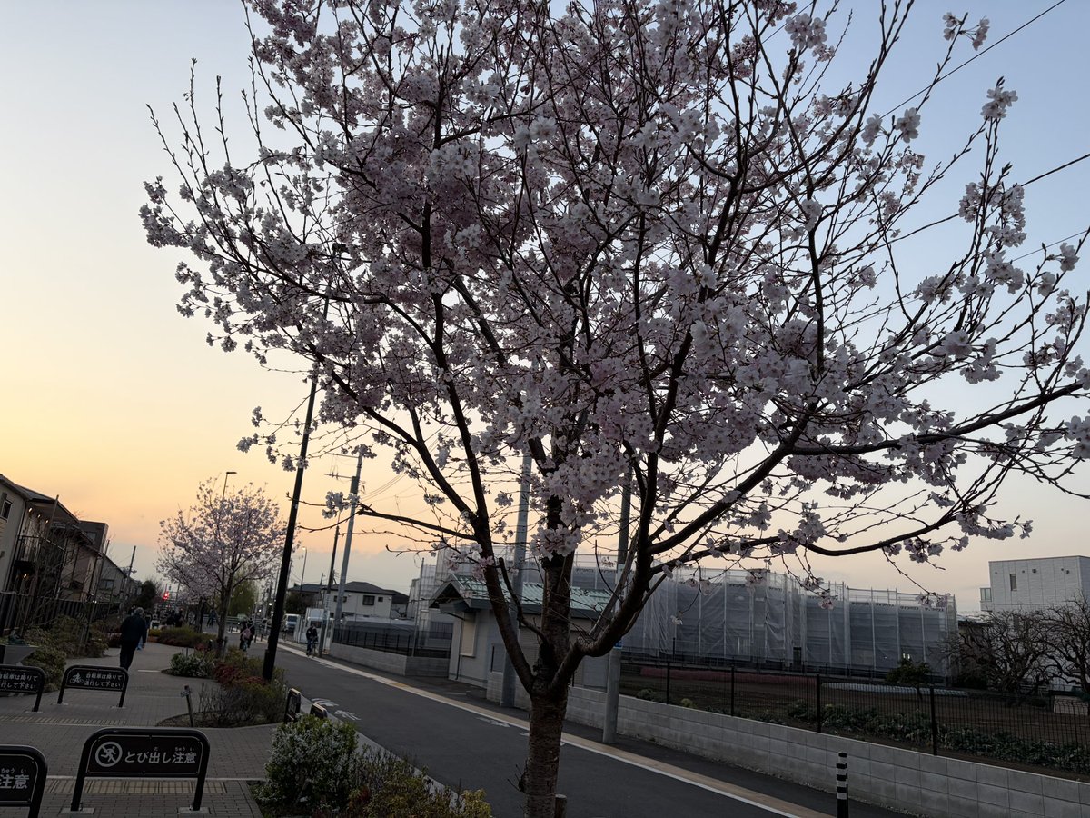 Aaron (hypotheticaltiger) tweet media