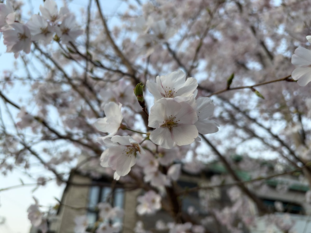 Aaron (hypotheticaltiger) tweet media