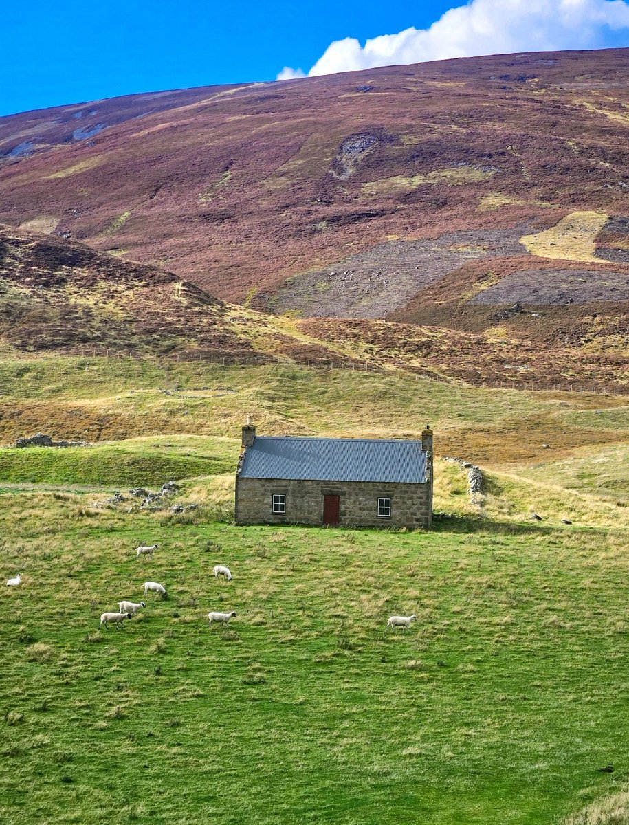 Scotland's Stories - Graeme tweet media