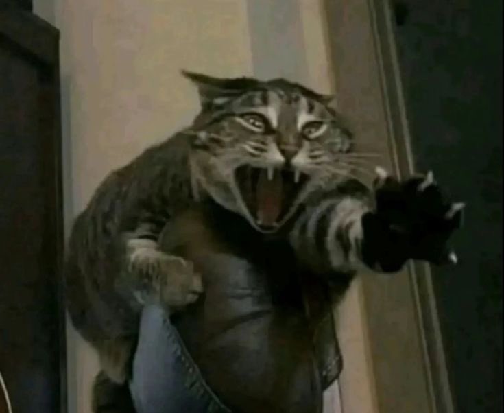 Biaazz🕷️ tweet media