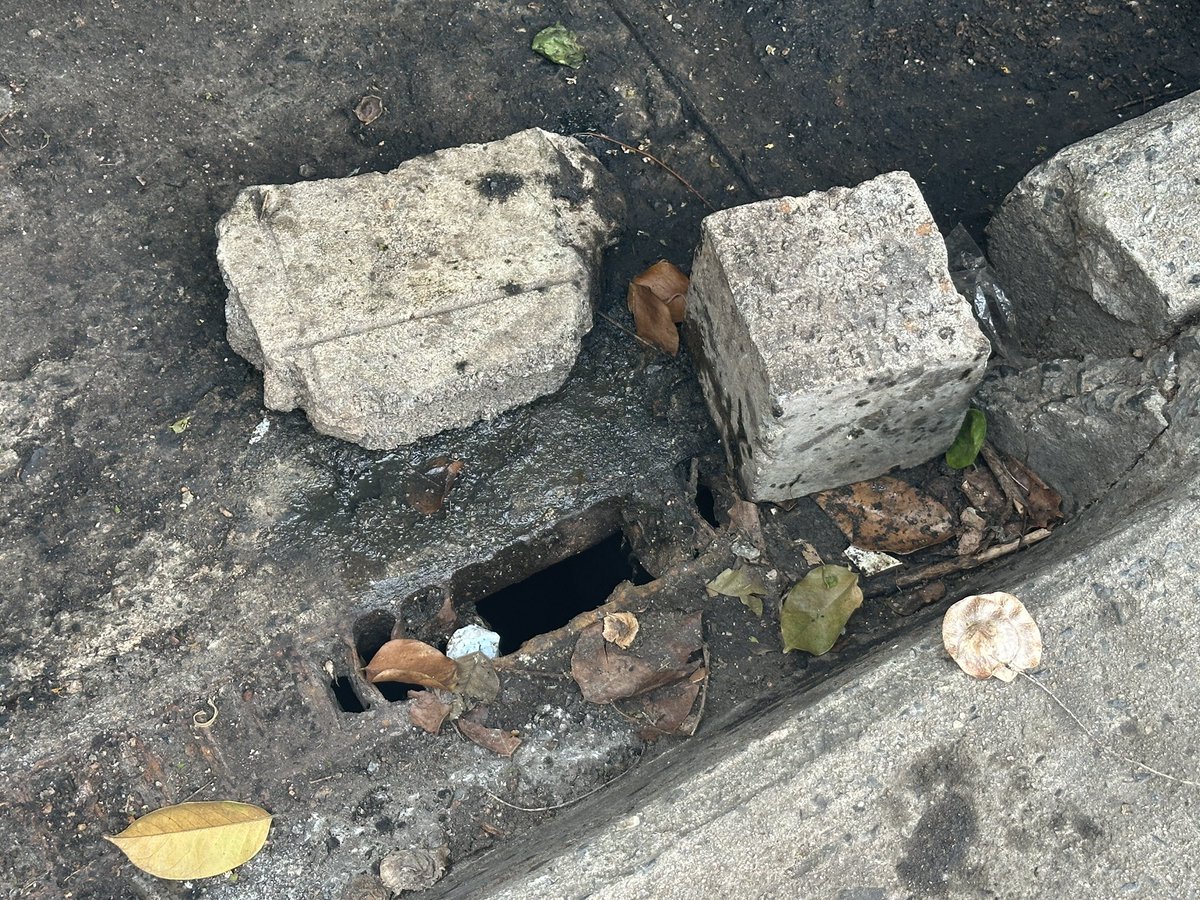 สรรเสริญ เรืองฤทธิ์🌦 tweet media