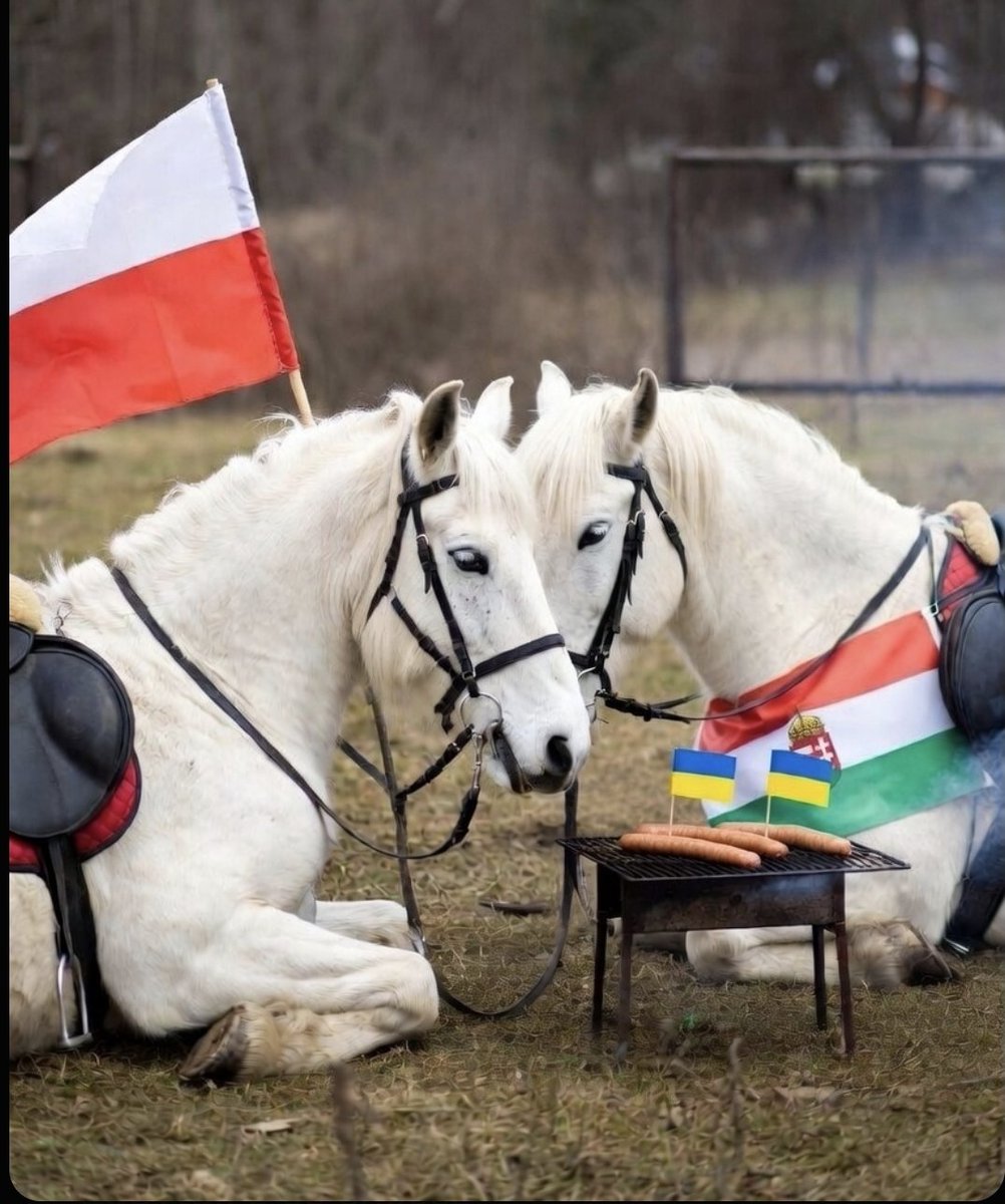 Szczęśliwego tweet media