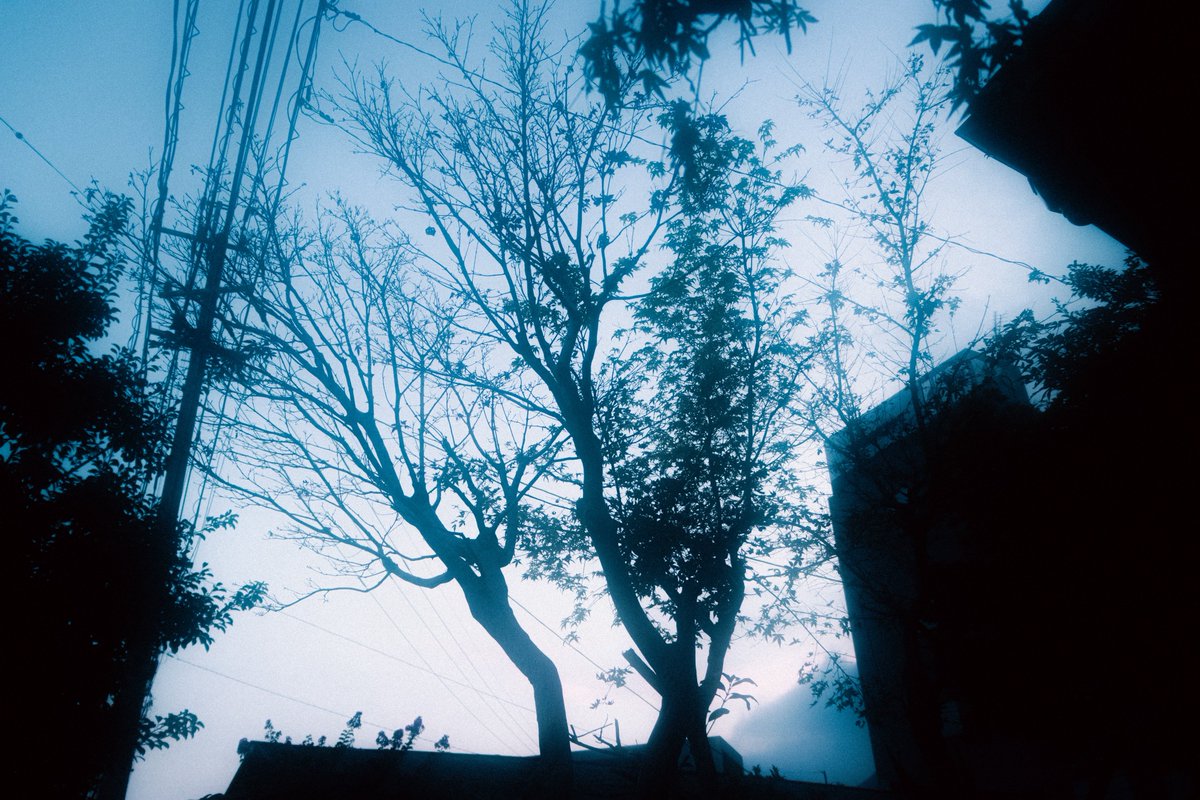 ぽてちー tweet media