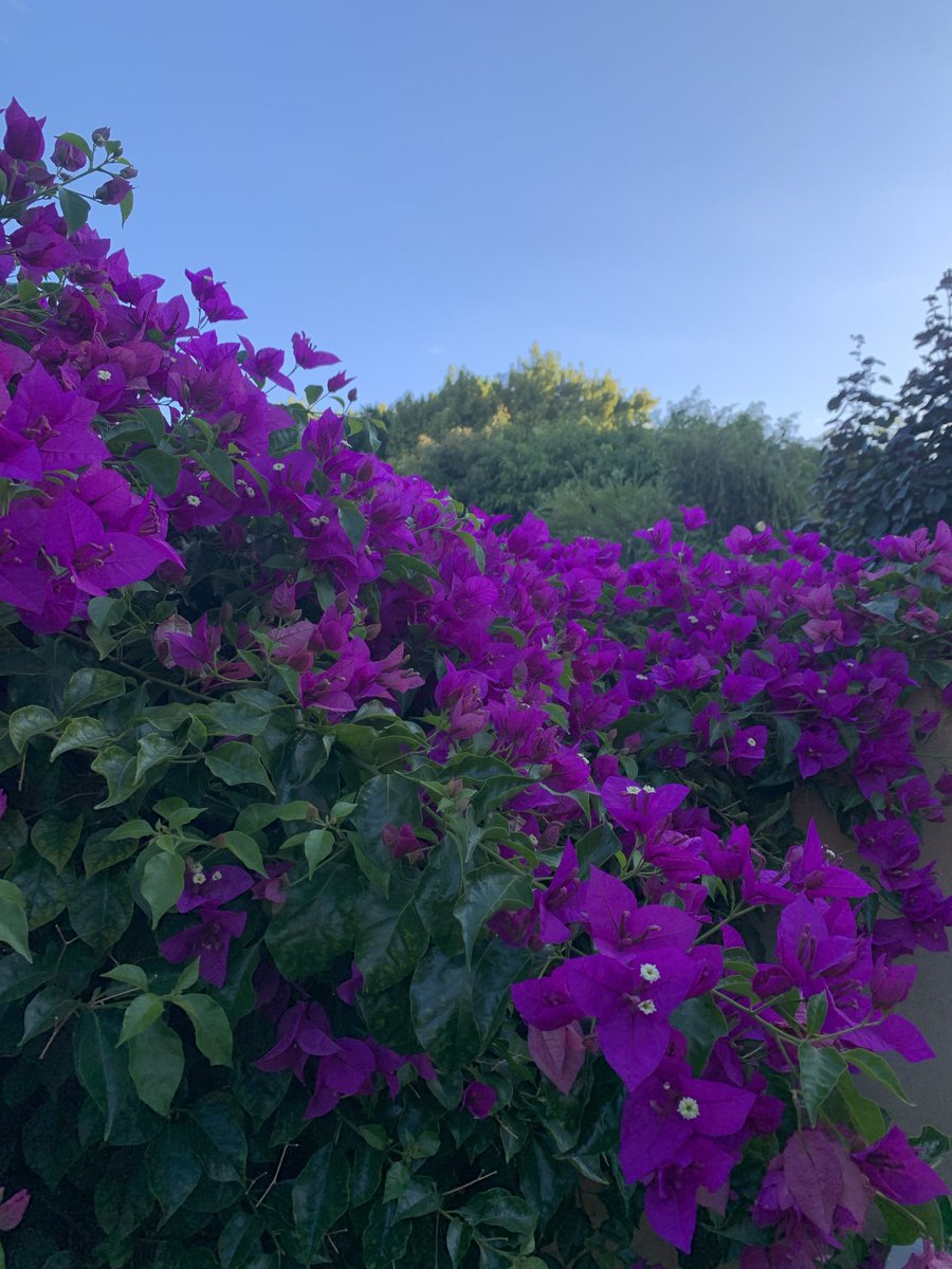 John Nader tweet media