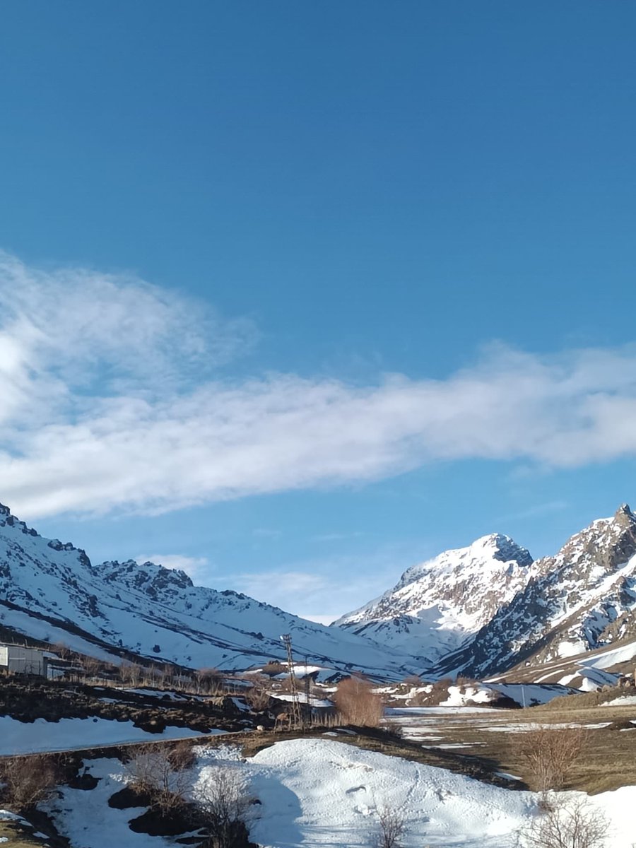 ARAM ☭ 🎬 📷 tweet media