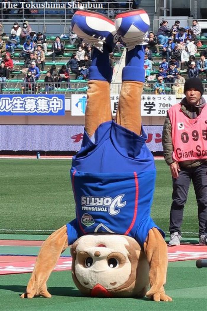 狸と言えばヴォルタ君の認識だったが間違えてたのか、、、
教えてくれてありがとう😁