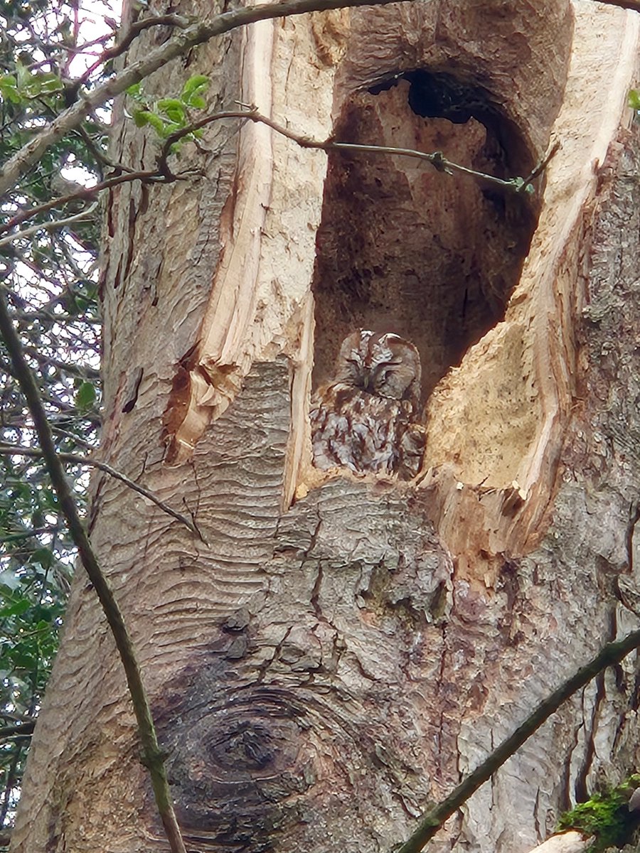 Lift Feversham tweet media