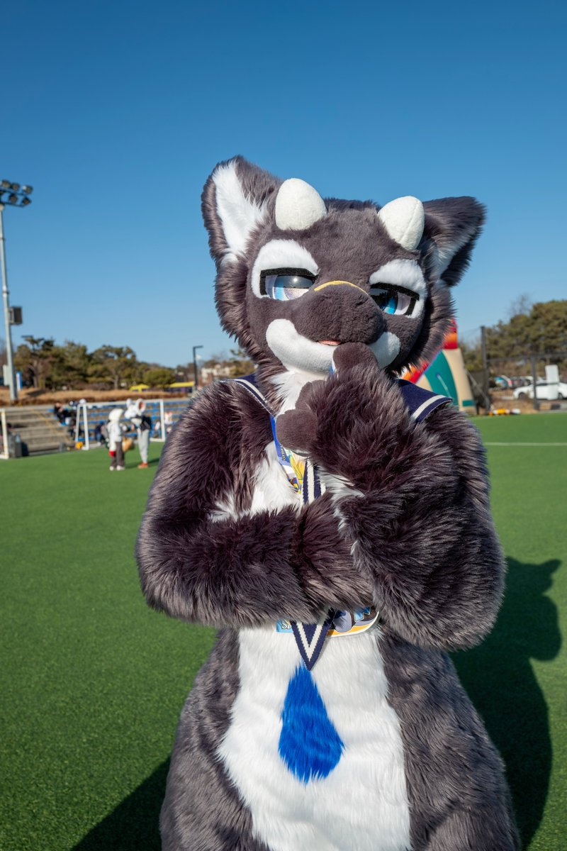 晩御飯は何にしようかな...