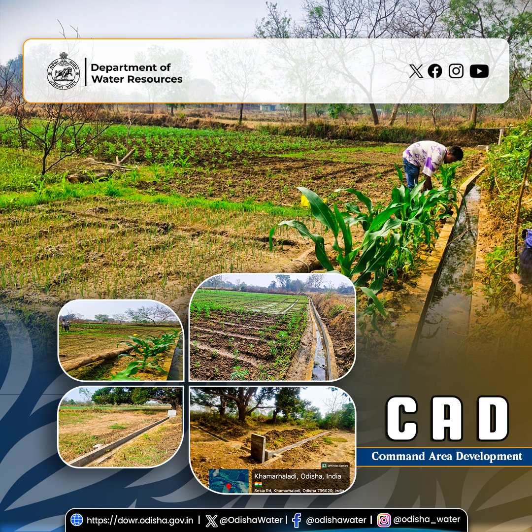 OdishaWater's tweet image. Construction of #FieldChannel under OIIPCRA at Gataguda MIP, Dharamgarh Block, #KalahandiDistrict.
141.50 m of RCC-lined channel, along with 7 hydraulic structures, is being developed to provide sustainable irrigation to 5.258 ha of #agricultural land.
The work is being executed