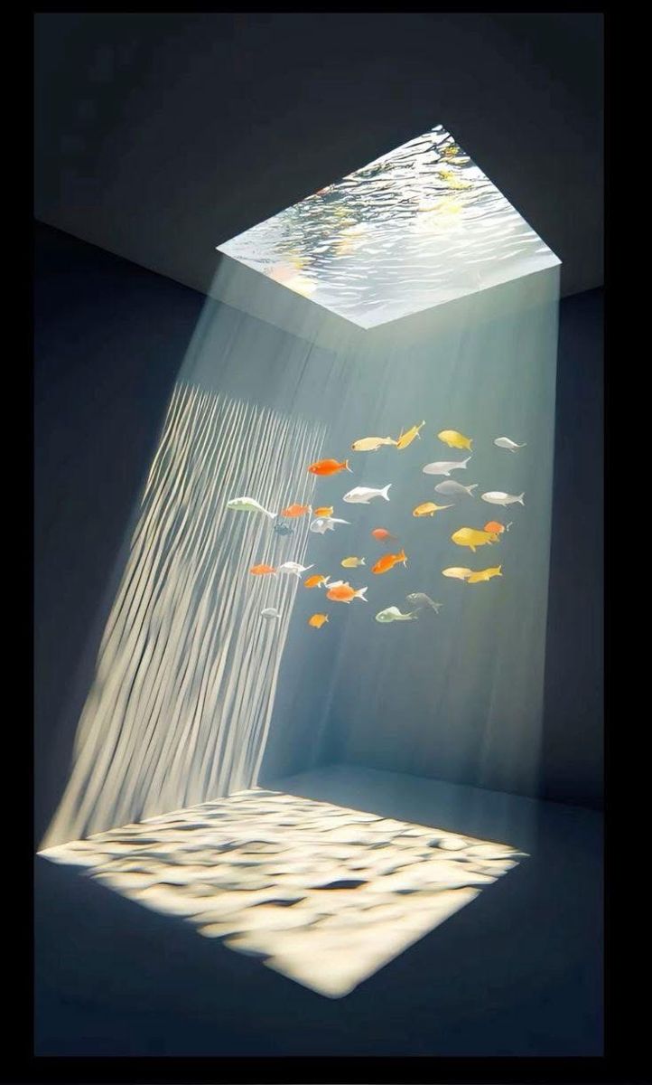 𝑝𝑢𝑟𝑒 tweet media