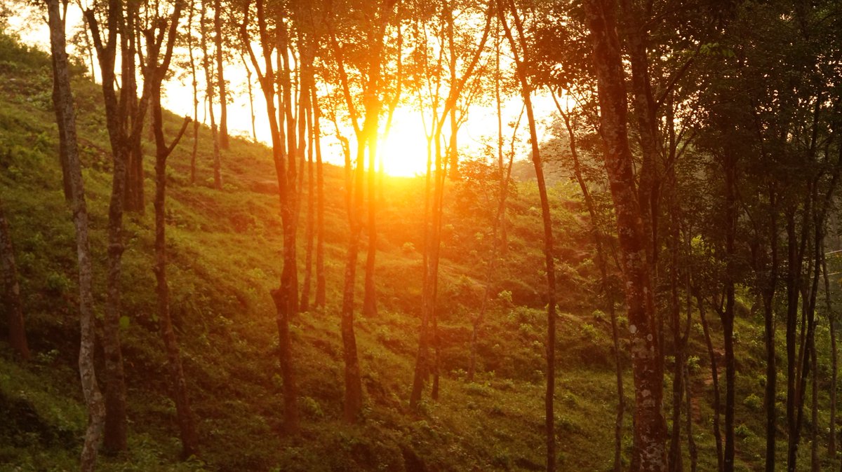 endermanbelike tweet media