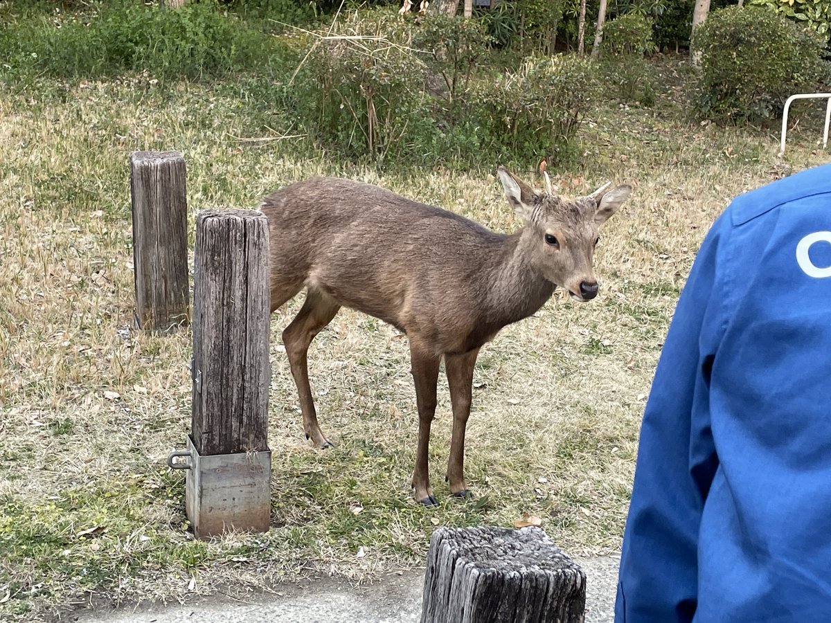 パスカ tweet media