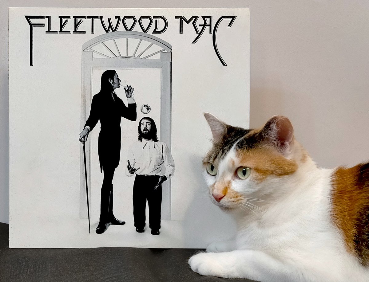 タウンゼント tweet media