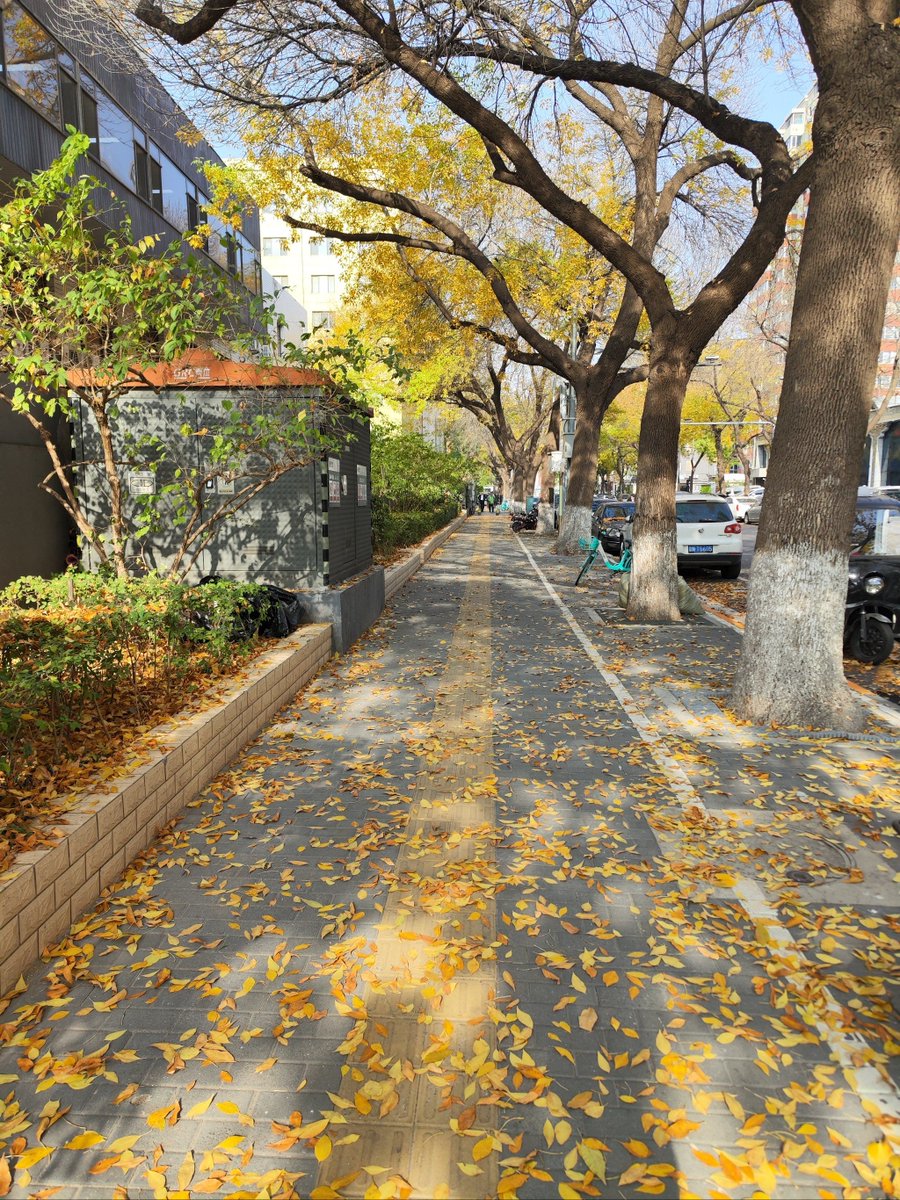 Jerrod Ketchum tweet media