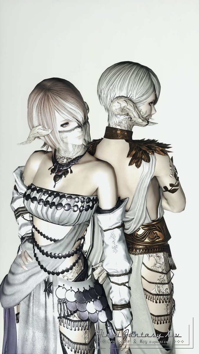 𝑀𝑎𝑦𝑢🐈 tweet media