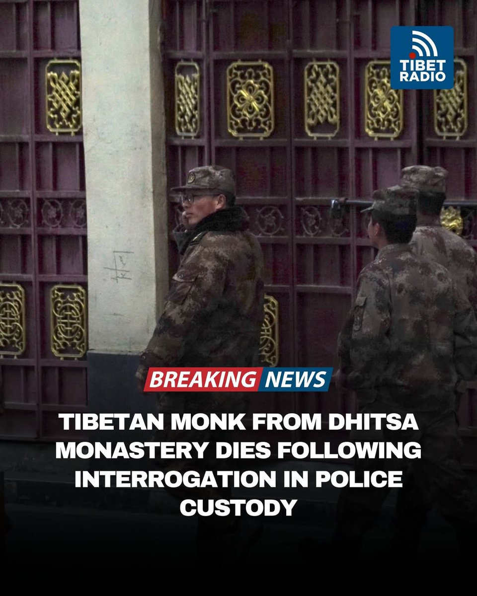 Lhamu dupling tweet media