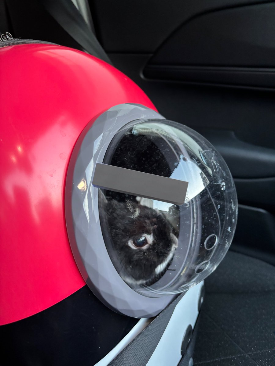 ごましお tweet media