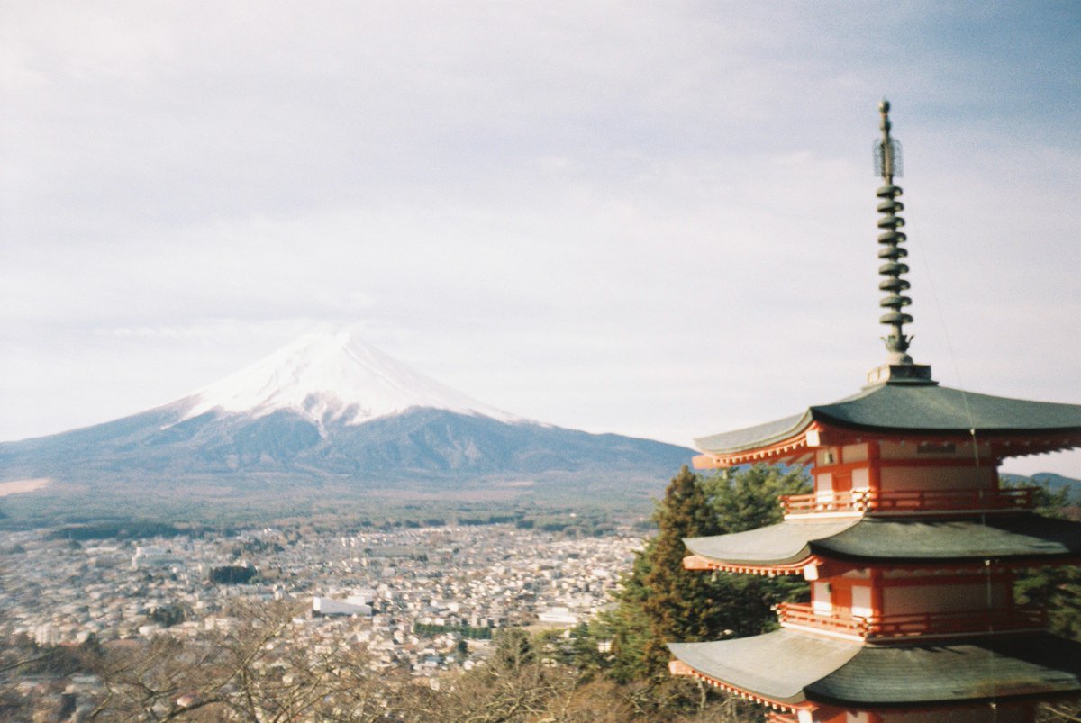 Everton Designs tweet media