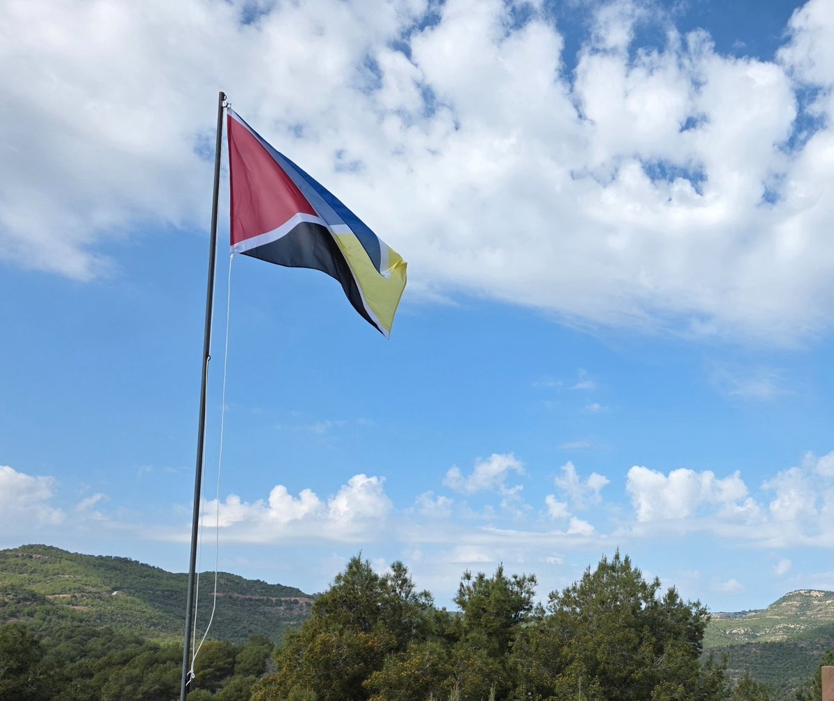 Jordi Salat tweet media