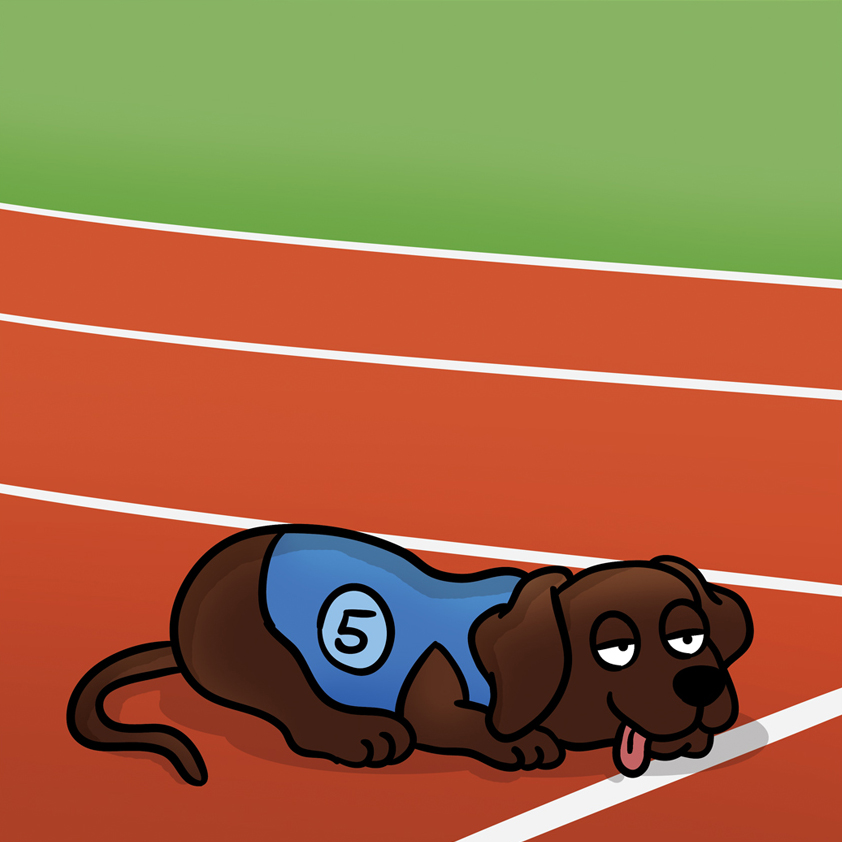 Evert Kwok tweet media