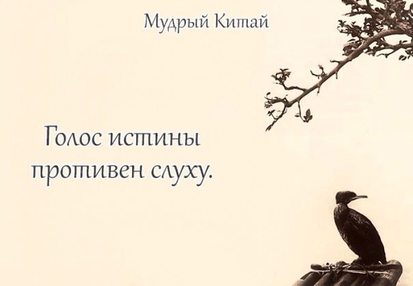 ANTI FALSO 🇺🇦 tweet media