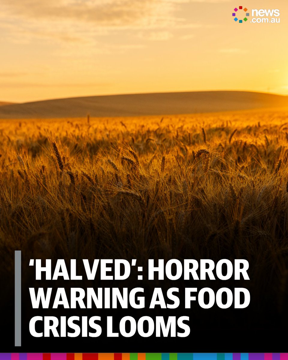 news.com.au tweet media