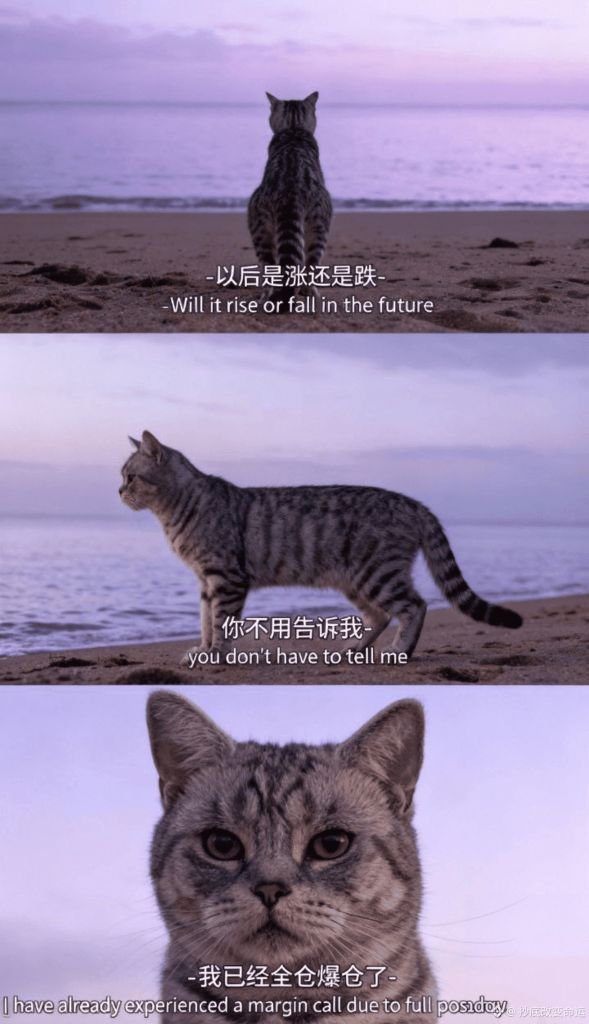 梁岷Liam tweet media