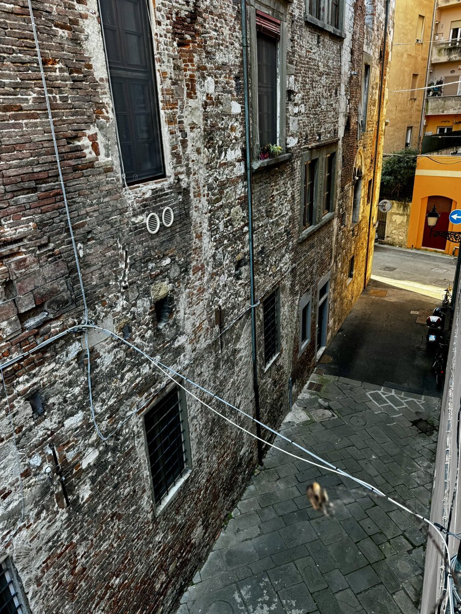 El Capitan🏴‍☠️ tweet media